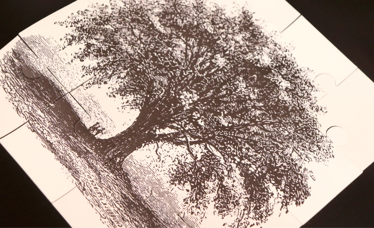 Termocolados em tecidos flex e refletores 37